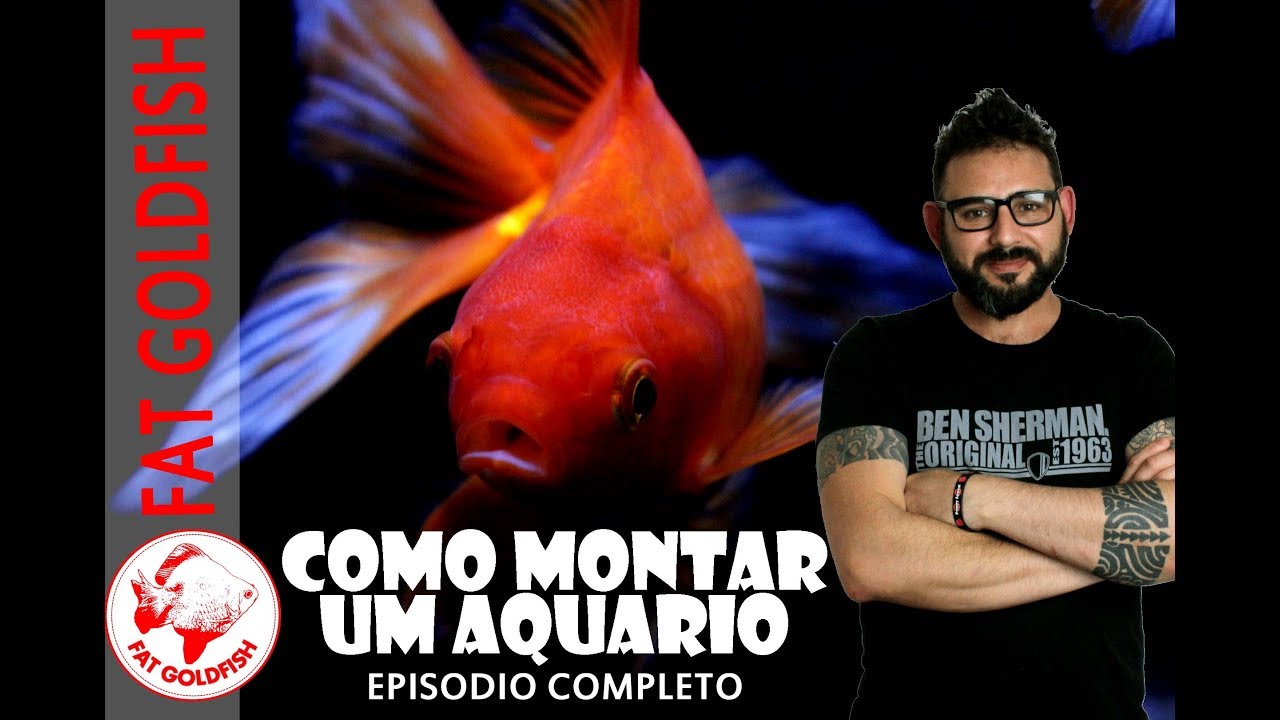 COMO MONTAR UM AQUÁRIO