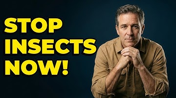 Can Secure Food Storage Stop Insect Infestations?