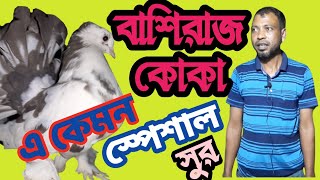 how to make bashiraj koka pigeon,Indoor Farmin