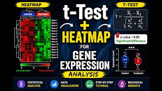 Celebrity t-Test & Heatmap for Gene Expression Data | Step-by-Step Bioinformatics Analysis Net Worth
