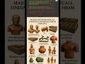 सिंधु घाटी सभ्यता | Indus Valley Civilization Full Explanation | History Class #shorts