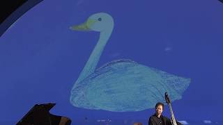 動物の謝肉祭～白鳥(Carnival of animals～Le cygne/Saint-Saens)東京藝術大学COIワークショップ「音と光の動物園」より　「小学生の音楽鑑賞・表現」収録映像