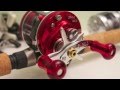 Abu Garcia Ambassadeur 5601 BCX Vol.2 -Boca bearings tune up & Outfitters Pow'r crank handle-