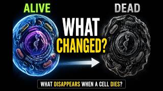 What Is Life (3)-Why Water Evaporates