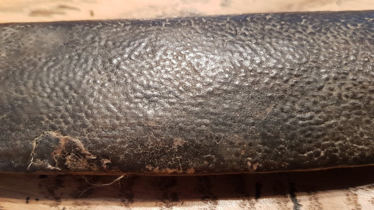 Traditional Shagreen isn't made from Fishskin