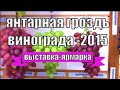 Республиканская выставка-ярмарка «Янтарная гроздь винограда-2015» г. Пинска