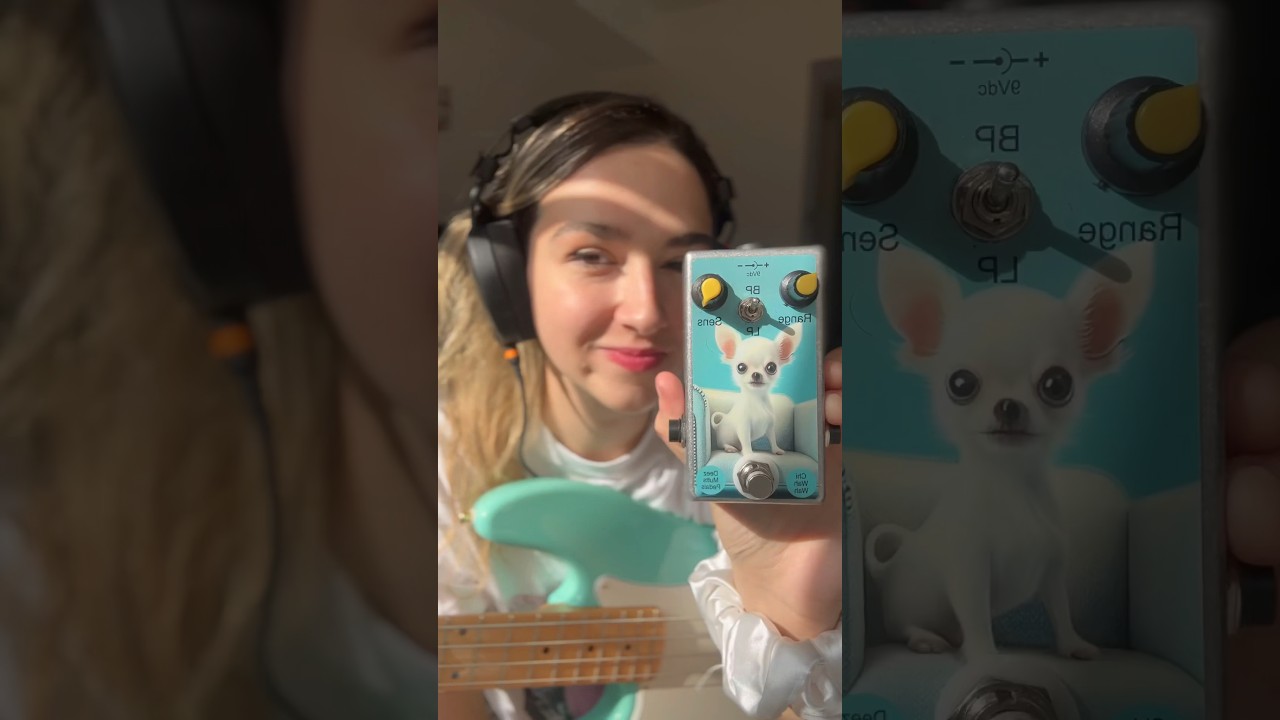 My new pedal Chi Wah Wah 😁 