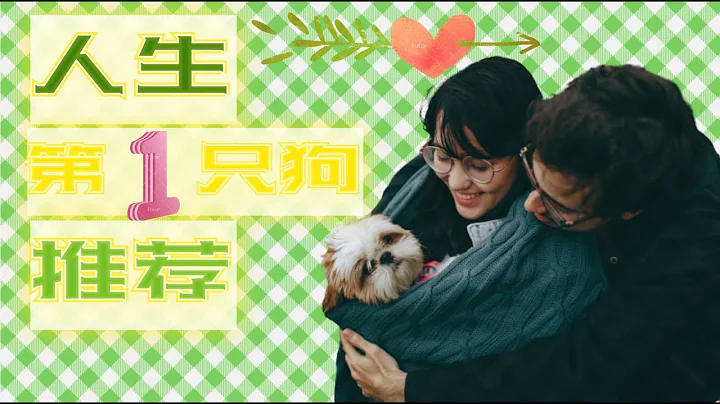 第一只狗怎麽選?新手鏟屎官|||人生第一只狗推薦! - DayDayNews