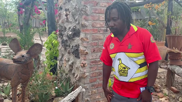 The next generation of African villages in Zimbabwe 🇿🇼