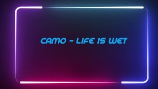 Camo - life is wet ( feat. JMIN ) lyrics