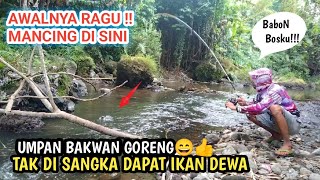 Panen Ikan Mahal‼️Umpan Gacor Mancing Mahserr Jawa