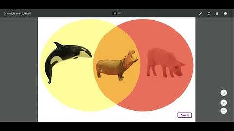 Unit 2 Lesson 8 L & L