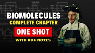 Biomolecules Class 12 Chemistry One Shot for JEE Mains 2024