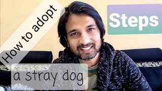 How to adopt a stray dog | 10 steps to adopt a street puppy