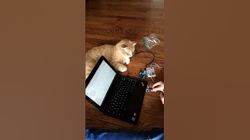 Timelapse Video of Work 2