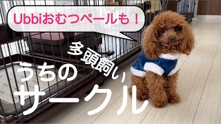 【犬　サークル・ケージ】うちのサークルを紹介。Ubbiインテリアおむつペールも！