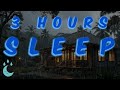 Heavy Rain on Tropical Bungalow 🌧️🏡 Jungle for Deep Sleep &amp; Relaxation | 3 Hours