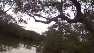 Brisbane Waters - Orana Street Wharf, Greenpoint