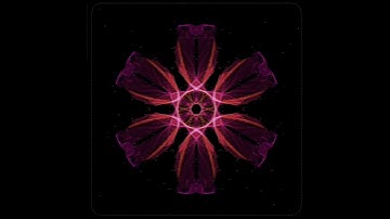 red flower animation effect in 3d very sharp l tranding 3d video