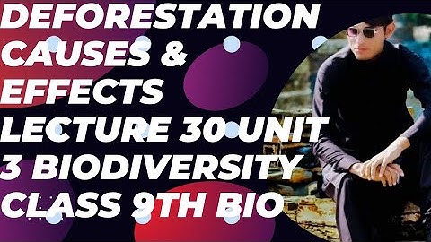 Deforestation Causes & Effects Lecture 30 Unit 3 Biodiversity Class 9th Biology Importance of Forest