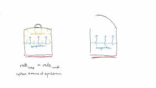 Open and closed systems | Equilibrium | meriSTEM