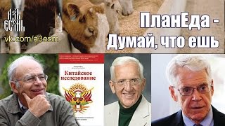 ПланЕда - Думай, что ешь (v2) ПланЕда - Думай, что ешь (v2)