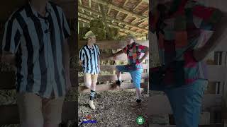 6 piadas