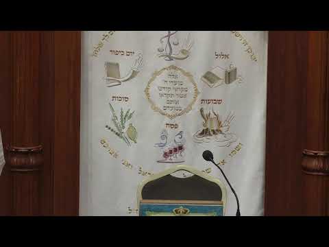 שיעור חי  -LIVE -הרב דוד לוי ספר משלי עם הרבה אמונה  ובשעה 20:15 הרב שמשון כהן הלכה ואגדה