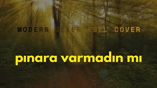 Seyfettin Sucu Pınara Varmadın Mı - Modern Geleneksel Cover