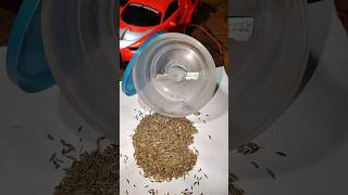 DIY Mini Blender Grind Cumin Seeds with DC Motor #youtube #shorts #foryou #video DIY Mini Blender Grind Cumin Seeds with DC Motor #youtube #shorts #foryou #video