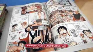 One Piece Log - La Collection Officielle Hachette 20