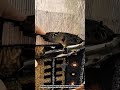 Best Innovation Carpet Trimming Tool: How to Refine Handwoven Rug Edges