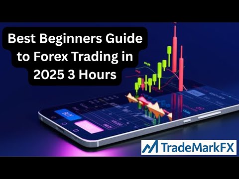 Best Beginners Guide to Forex Trading in 2025 3 Hours - YouTube