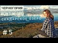 ЧЕРНОГОРИЯ / СКАДАРСКОЕ ОЗЕРО - страшный серпантин, такого мы еще не видели!