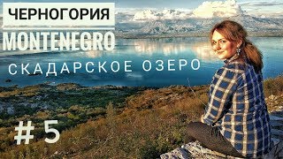 ЧЕРНОГОРИЯ / СКАДАРСКОЕ ОЗЕРО - страшный серпантин, такого мы еще не видели!