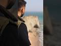 لحظهای ناب از یکی از زیباترین شگفتیهای دنیا...🐢