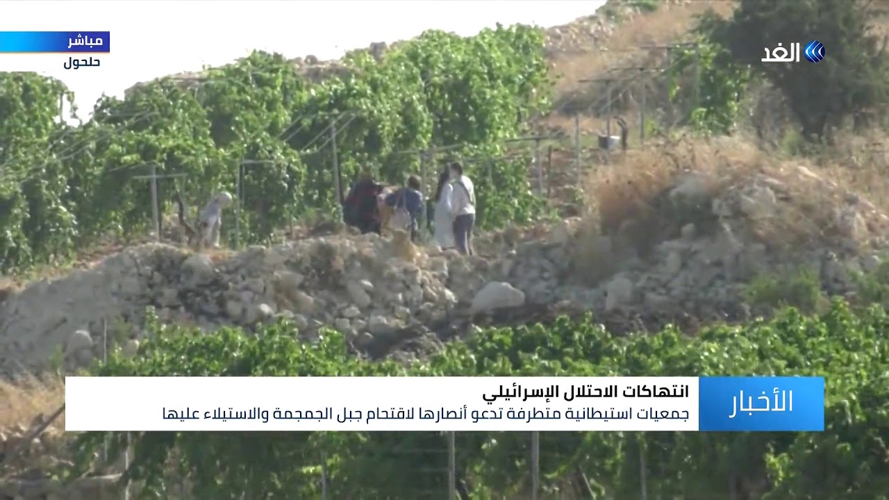 مستوطنون إسرائيليون يقتحمون جبل الجمجمة شمال الخليل ... مراسلنا يرصد التفاصيل