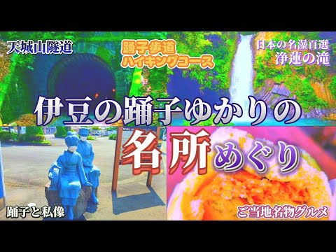 【伊豆天城・湯ヶ島】 ガイド【観光名所めぐり】天城山隧道(旧天城トンネル)→踊子歩道ハイキング→天城国際常設鱒釣場→浄蓮の滝→ご当地名物グルメ