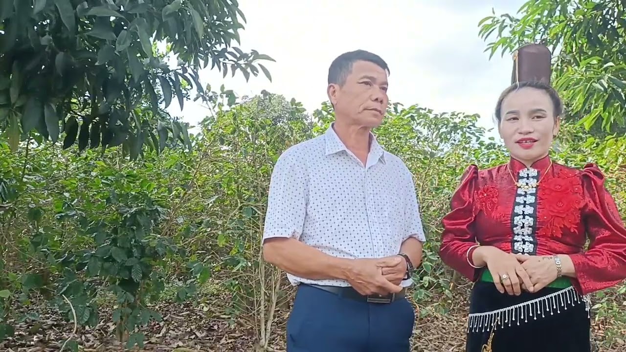 Quàng Tướng và lò Minh gặp nhau  hát thái