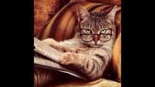 Nitetones Best of my Love HD