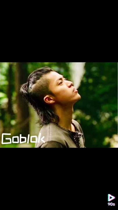 Story wa - goblok