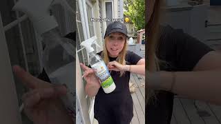 The secret they don’t want you to know… Use a peppermint oil bug spray to repel ants, spiders and