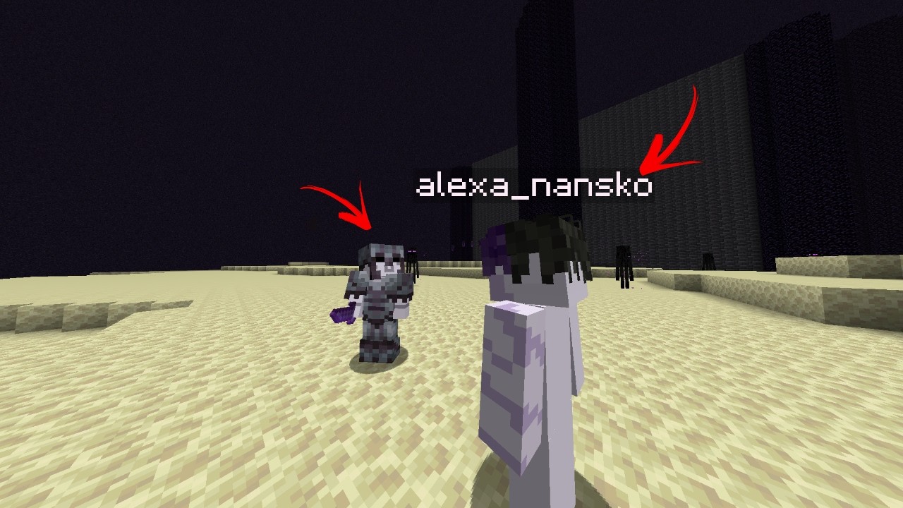 ვეწვიე ნანსყოს ენდში PhantomSMP სერია 1 სეზონი 1