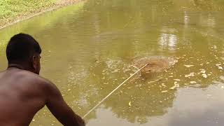 Fishing || Cast Net Falling Underwater || treditional net fishing ||[part-43] Cast Net Falling Underwater