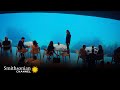 Underwater Restaurant Installation Challenges