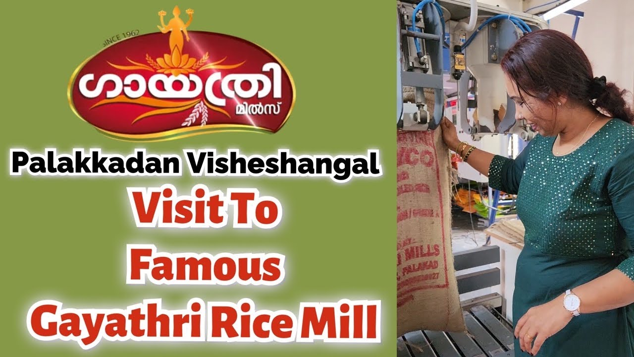 Gayatri Rice Mini Vlog 43 # Gayatri Rice Mill Exclusive Vlog #familyvlog # ...
