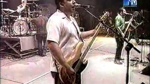 Thumbnail of Molotov - Chinga tu Madre (Live) rare pro shot