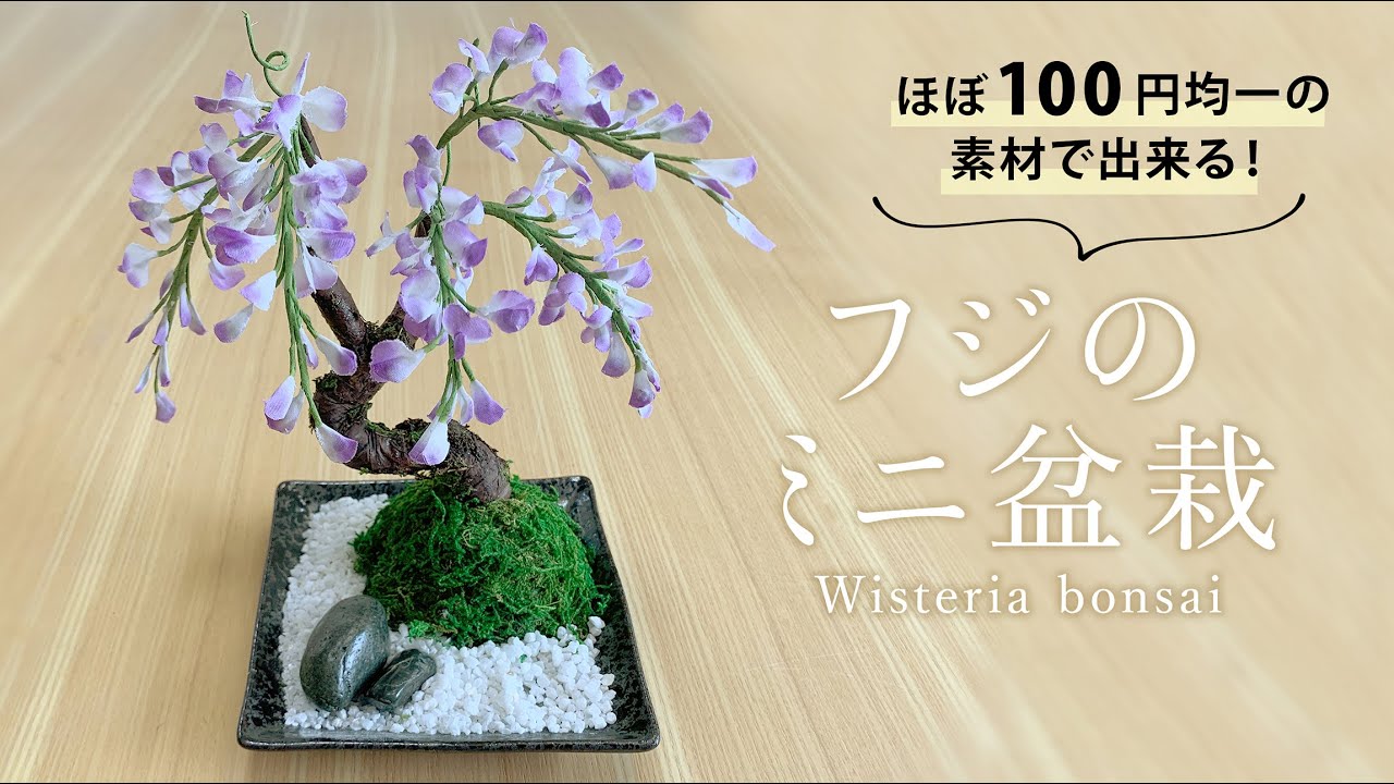 ほぼ100円均一の素材で出来る！「フジのミニ盆栽」 - YouTube