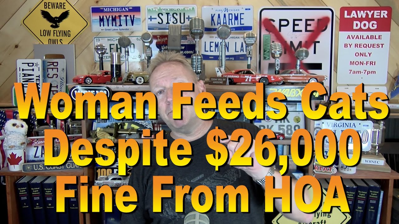 Woman Feeds Cats Despite $26,000 Fine from HOA