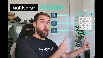 MultiversX Basics - Types of Nodes